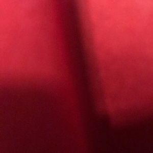 Meet your Posher, Elena